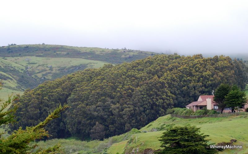 BodegaBay Farm April 2010
